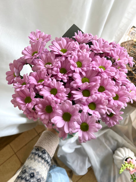 Chrysanthemums Bunch