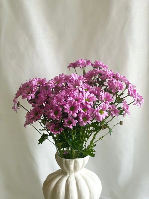 Chrysanthemums Bunch