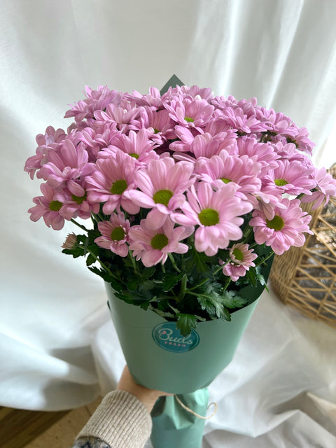 Chrysanthemums Bunch