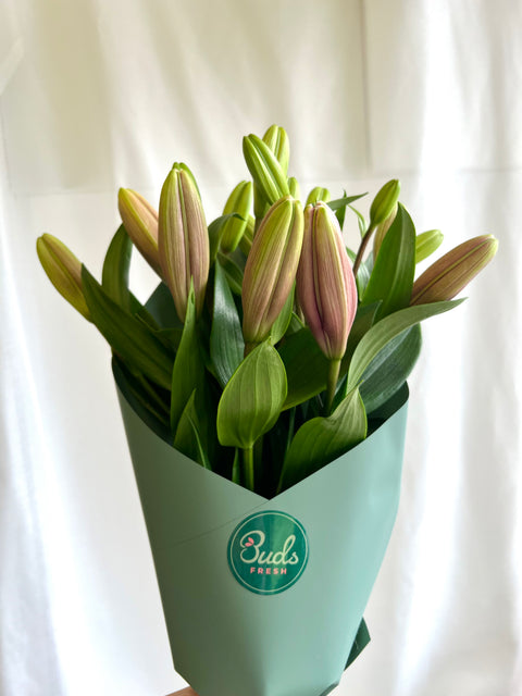Lily Bunch