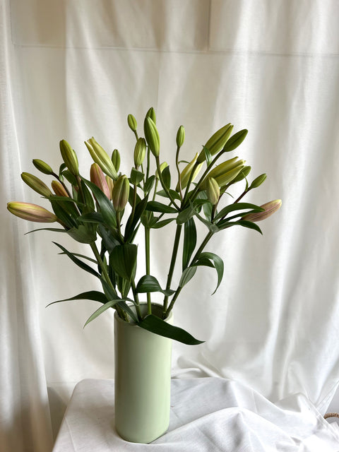 Lily Bunch