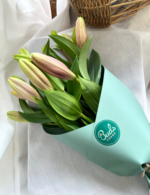 Lily Bunch