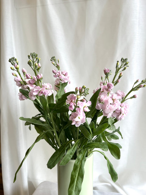 Stock Bunch