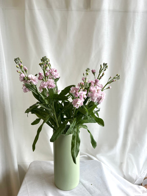 Stock Bunch