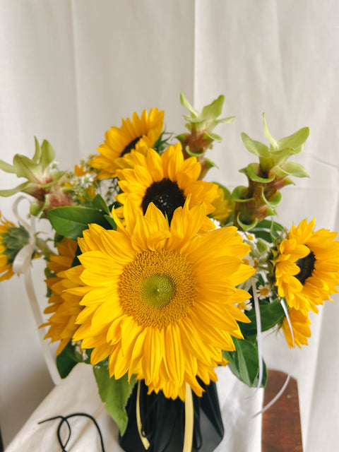 Sunflower Sensation